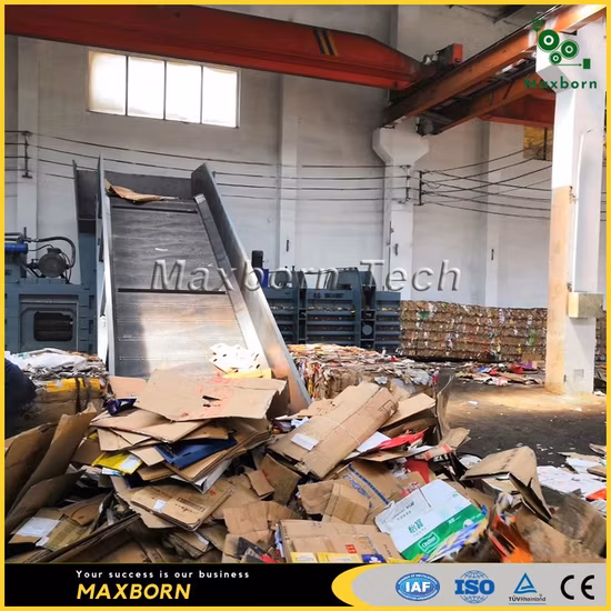 Máquina empacadora de papel de desecho hidráulica horizontal de doble RAM completamente automática de alta calidad de China / Empacadora hidráulica para cartón, cartón, plástico y paja